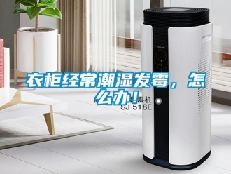 常見問題衣柜經常潮濕發霉，怎么辦！