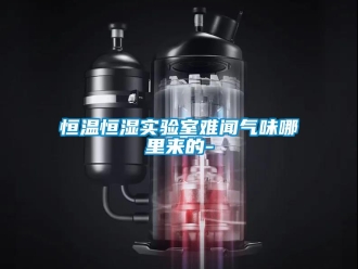 知識百科恒溫恒濕實驗室難聞氣味哪里來的-