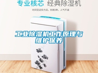 常見問題工業除濕機工作原理與維護保養
