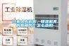 過來人告訴你，除濕機真的有用嗎？怎么選購