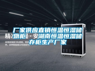 知識百科廠家供應直銷恒溫恒濕儲物柜   湖南恒溫恒濕儲存柜生產廠家