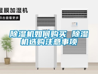 行業新聞除濕機如何購買 除濕機選購注意事項