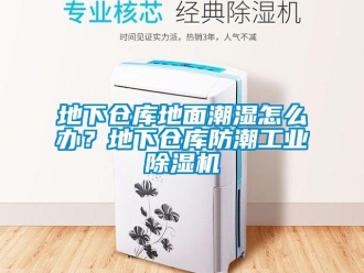 常見問題地下倉庫地面潮濕怎么辦？地下倉庫防潮工業除濕機