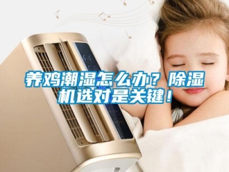 常見問題養雞潮濕怎么辦？除濕機選對是關鍵！