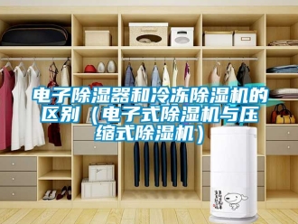 行業新聞電子除濕器和冷凍除濕機的區別（電子式除濕機與壓縮式除濕機）