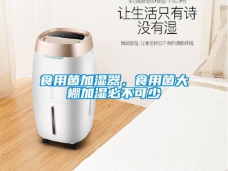 知識百科食用菌加濕器，食用菌大棚加濕必不可少