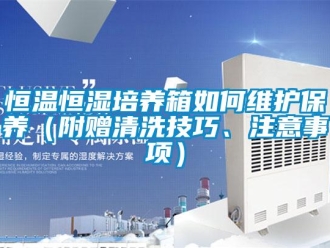 知識百科恒溫恒濕培養箱如何維護保養（附贈清洗技巧、注意事項）