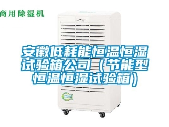 常見問題安徽低耗能恒溫恒濕試驗箱公司（節能型恒溫恒濕試驗箱）