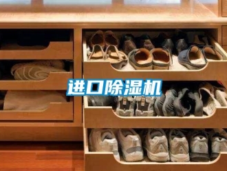 行業新聞進口除濕機