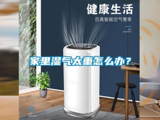 常見問題家里濕氣太重怎么辦？