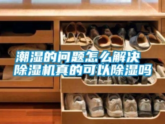 企業新聞潮濕的問題怎么解決 除濕機真的可以除濕嗎