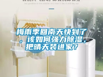 常見問題梅雨季回南天快到了，該如何強力除濕，把晴天裝進家？