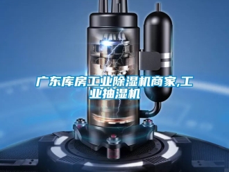 常見問題廣東庫房工業除濕機商家,工業抽濕機