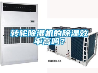 常見問題轉輪除濕機的除濕效率高嗎？