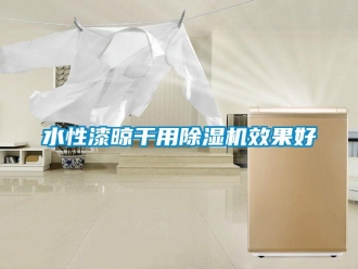 知識百科水性漆晾干用除濕機效果好