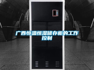 知識百科廣西恒溫恒濕儲存柜的工作控制