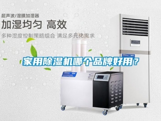 企業新聞家用除濕機哪個品牌好用？