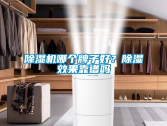 行業新聞除濕機哪個牌子好？除濕效果靠譜嗎