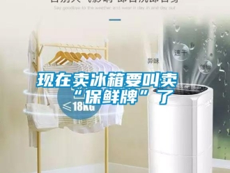 知識百科現在賣冰箱要叫賣“保鮮牌”了