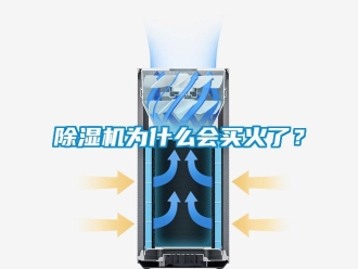 企業新聞除濕機為什么會買火了？