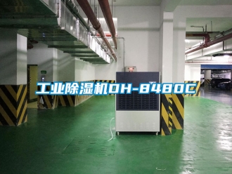 常見問題工業除濕機DH-8480C