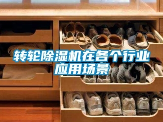 知識百科轉輪除濕機在各個行業應用場景