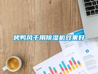 行業新聞烤鴨風干用除濕機效果好