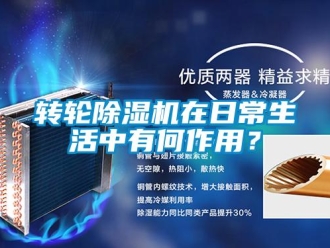 知識百科轉輪除濕機在日常生活中有何作用？
