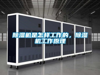 行業新聞除濕機是怎樣工作的，除濕機工作原理