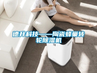 常見問題德升科技——陶瓷蜂巢轉輪除濕機
