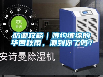 常見問題防潮攻略｜婉約纏綿的華西秋雨，潮到你了嗎？