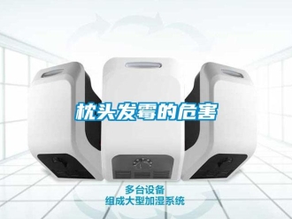 知識百科枕頭發霉的危害