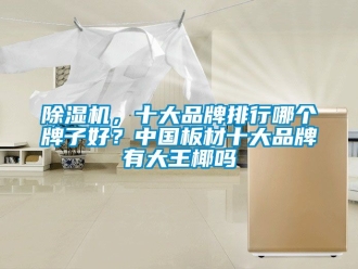 企業新聞除濕機，十大品牌排行哪個牌子好？中國板材十大品牌有大王椰嗎