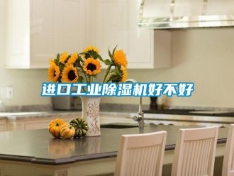 行業新聞進口工業除濕機好不好