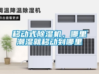 知識百科移動式除濕機，哪里潮濕就移動到哪里
