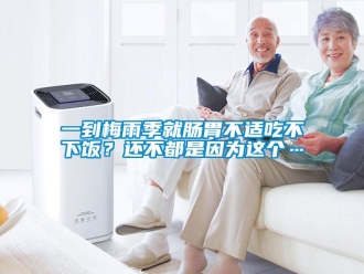 知識百科一到梅雨季就腸胃不適吃不下飯？還不都是因為這個…