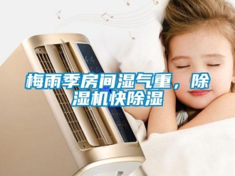 行業新聞梅雨季房間濕氣重，除濕機快除濕