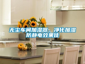 知識百科無塵車間加濕器，凈化加濕防靜電效果佳
