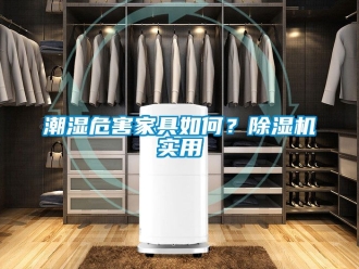 企業新聞潮濕危害家具如何？除濕機實用