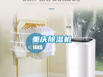 行業新聞重慶除濕機