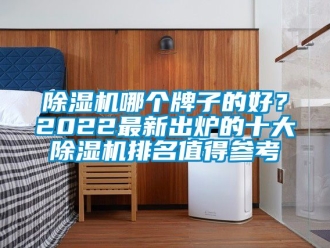 行業新聞除濕機哪個牌子的好？2022最新出爐的十大除濕機排名值得參考