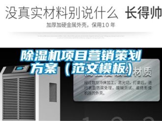 行業新聞除濕機項目營銷策劃方案（范文模板）