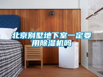 企業新聞北京別墅地下室一定要用除濕機嗎