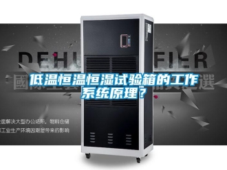 知識百科低溫恒溫恒濕試驗箱的工作系統原理？