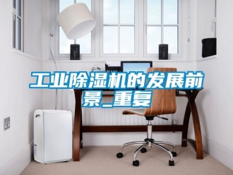 常見問題工業除濕機的發展前景_重復