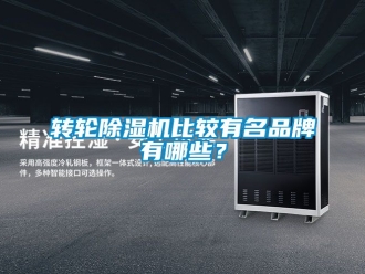 常見問題轉輪除濕機比較有名品牌有哪些？