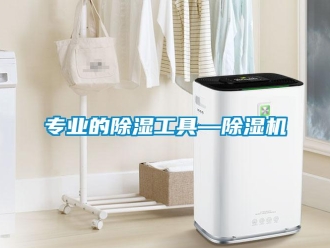 知識百科專業的除濕工具—除濕機