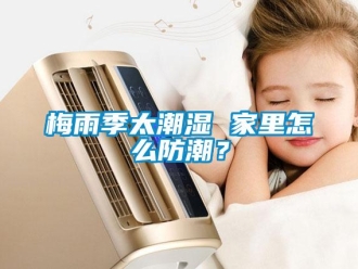 常見問題梅雨季太潮濕 家里怎么防潮？
