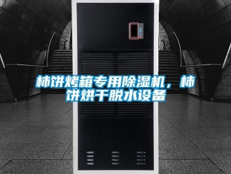 知識百科柿餅烤箱專用除濕機，柿餅烘干脫水設備