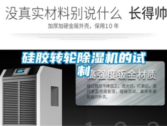 常見問題硅膠轉輪除濕機的試制